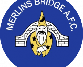 Merlins Bridge Club Badge