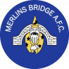 Merlins Bridge Club Badge