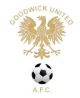 goodwick united badge