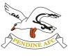 Pendine AFC Badge