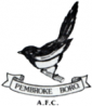 Pembroke Boro club badge