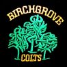 Birchgrove Colts Club Badge